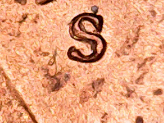 Not-Sure-If-A-Hit-Did-This-Or-If-It's-A-DD-On-This-Cent?-Thanks!